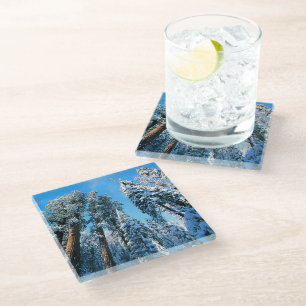 Ice & Snow   Sequoia National Park, California Glass Coaster
