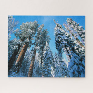 Ice & Snow   Sequoia National Park, California Jigsaw Puzzle