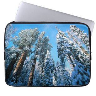 Ice & Snow   Sequoia National Park, California Laptop Sleeve