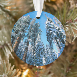 Ice & Snow   Sequoia National Park, California Ornament