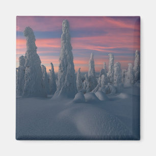 Ice & Snow Snow Covered Trees, Lapland, Finland Magnet