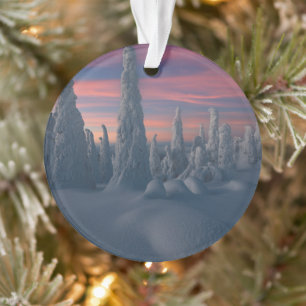 Ice & Snow   Snow Covered Trees, Lapland, Finland Ornament