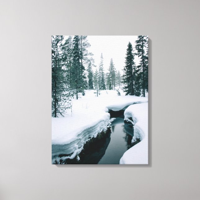 Ice & Snow | Stream in a Snowy Winter Landscape Canvas Print (Front)