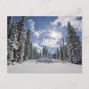 Ice & Snow Sunrise Winter Snow Alberta, Canada Postcard