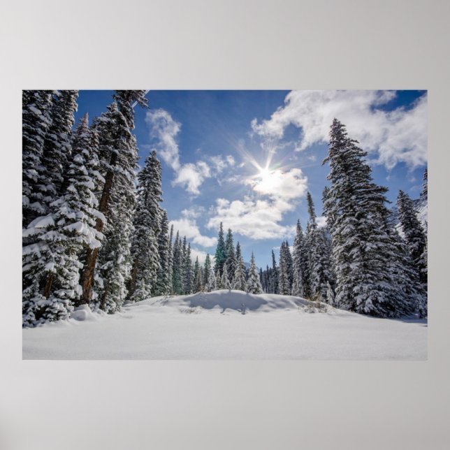 Ice & Snow | Sunrise Winter Snow Alberta, Canada Poster (Front)