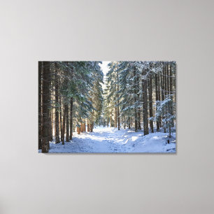 Ice & Snow Tatra Mountains, Poland Canvas Print