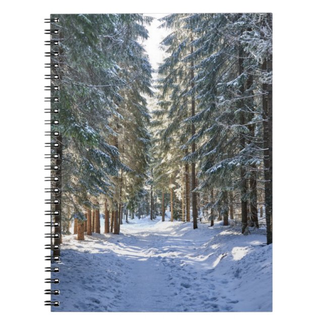 Ice & Snow | Tatra Mountains, Poland Notebook (Front)