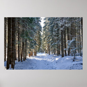 Ice & Snow Tatra Mountains, Poland Poster