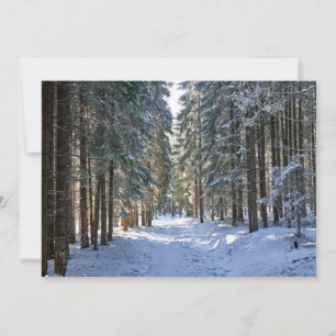Ice & Snow   Tatra Mountains, Poland Thank You Card