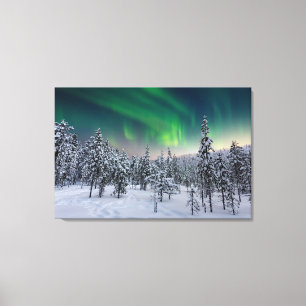 Ice & Snow   Winter Landscape, Finland Canvas Print