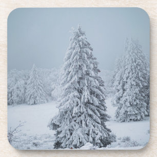 Ice & Snow Woodland, Swiss Alps Coaster