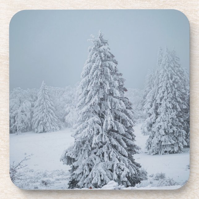 Ice & Snow | Woodland, Swiss Alps Coaster (Front)