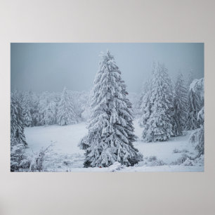 Ice & Snow Woodland, Swiss Alps Poster