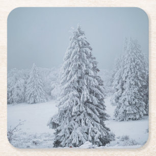 Ice & Snow Woodland, Swiss Alps Square Paper Coaster