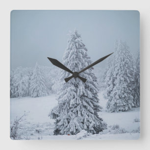 Ice & Snow Woodland, Swiss Alps Square Wall Clock
