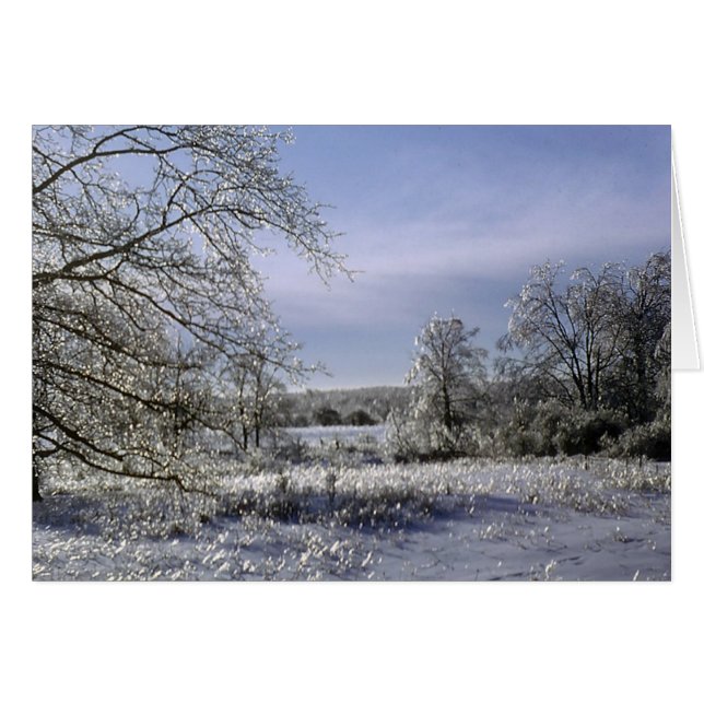 Ice storm 1 (Front Horizontal)