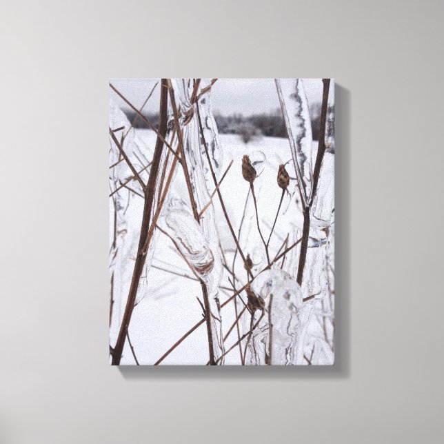 Ice Storm Photo Canvas Art Print Michigan (Front)