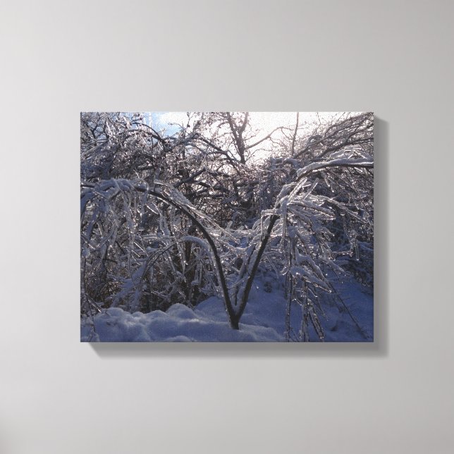 Ice Storm Photo Canvas Art Print Michigan (Front)