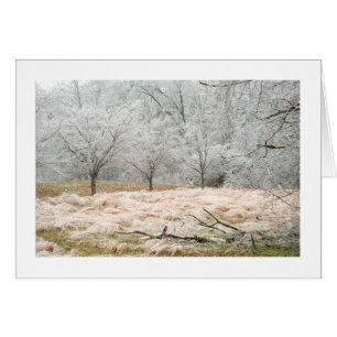 Ice Storm Rural Tennessee - Photograph