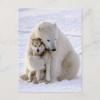 Icebear and Dog Postcard