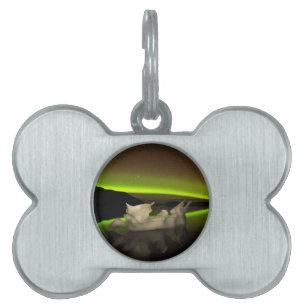 Iceberg Aurora Pet ID Tag