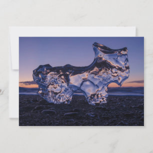 Iceberg Dog Holiday Card