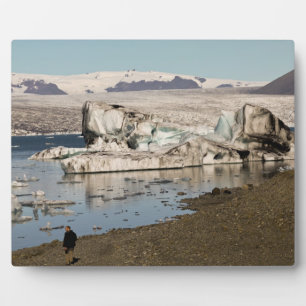 Iceberg formations plaque
