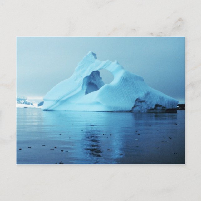 Iceberg in Antarctica Postcard (Front)