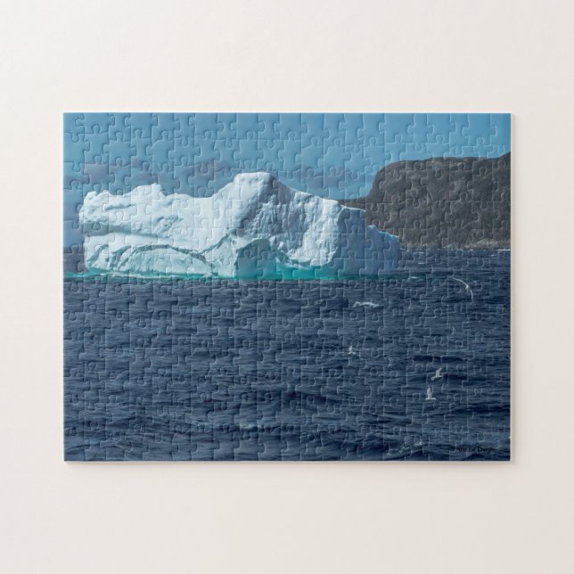 Iceberg in Conception Bay Jigsaw Puzzle (Horizontal)