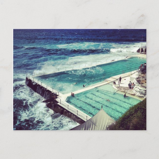 Icebergs - Bondi Postcard (Front)
