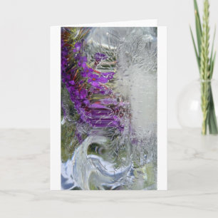 Iced Black Knight Butterfly Bush, Card