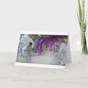 Iced Black Knight Butterfly Bush, Card