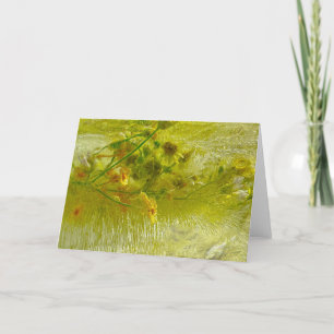 Iced Blossoms, Card
