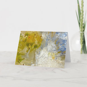 Iced Blossoms, Card