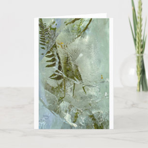 Iced Blossoms, Card