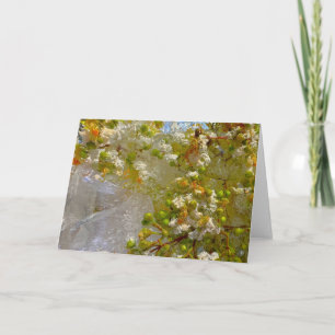 Iced Blossoms, Card