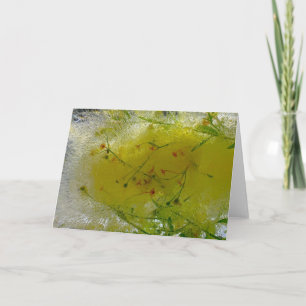 Iced Blossoms, Card