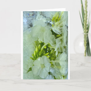 Iced Blossoms, Card