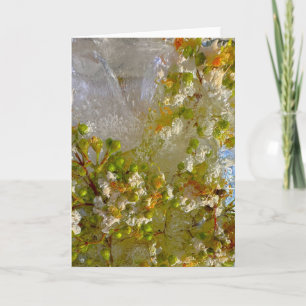 Iced Blossoms, Card