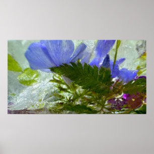 Iced Blossoms, Poster
