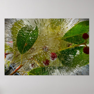 Iced Blossoms Poster