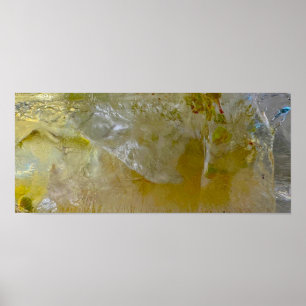 Iced Blossoms, Poster