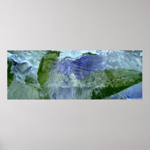 Iced Blossoms,  Poster
