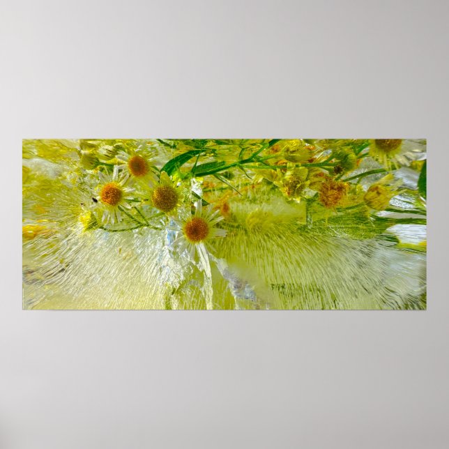 Iced Blossoms,  Poster (Front)