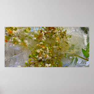 Iced Blossoms,  Poster