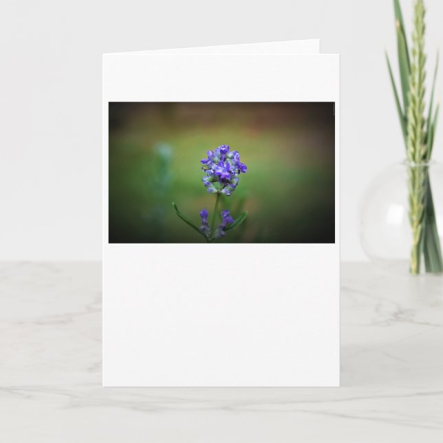 Iced Purple, card (Front)