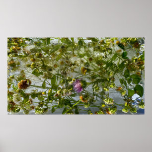 Iced Thistle & Clover,  Poster