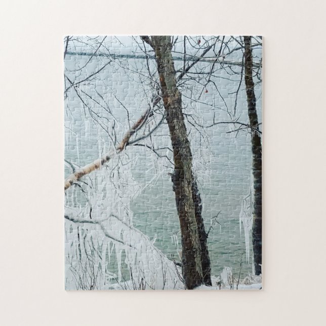 Iced Trees on Lake Superior Jigsaw Puzzle (Vertical)