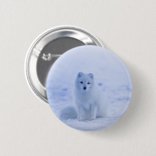 Iceland Arctic Fox 6 Cm Round Badge