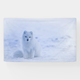 Iceland Arctic Fox Banner